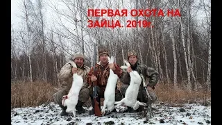 Охота на зайца Первый выезд  Зимний сезон 2019 2020г