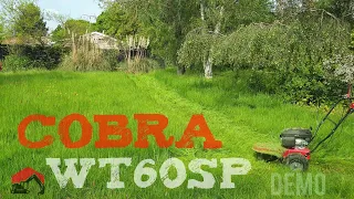 BRUTAL COBRA WT60SP DEMO - Heavy PETROL Propelled Walk- behind Strimmer