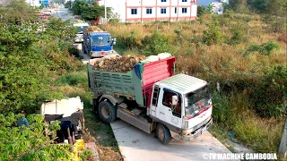 Just Opening Project 1DAY Full Action Land Filling And Dozer Forest & Leveling With Truck Unloading