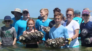 Building an Oyster Reef in Hernando County