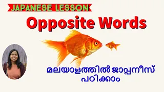 Basic Japanse words and Opposites | Japanese Lessons in Malayalam | Basic Japanese Vocabulary