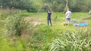 Building a living willow dome - Timelapse