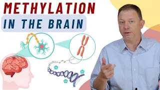 Methylation in the Brain: What is it?