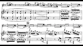 Dvořák - Sonata for violin and piano in F major, op.57 III. Allegro Molto (sheet music)