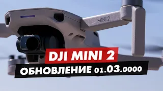 DJI MAVIC MINI 2 ПРОШИВКА 01.03 НОВОЕ ОБНОВЛЕНИЕ ЧТО НОВОГО?