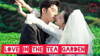 "Love in the Tea Garden" Chinese Drama Cast, Synopsis & Air Date....