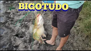 Lindo bagre  en Pesca en agua dulce