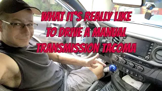 What It's Really Like to Drive a Manual Transmission Tacoma