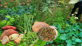 Full video of gardening Harvesting sweet potato, Taro, vegetables and cooking in the backyard