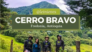 Cerro Bravo | Fredonia, Antioquia