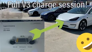 TESLA V3 Supercharger! Full Charging Video (10%-90% in 25 minutes!)