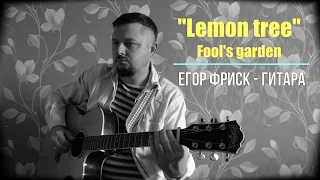 "LEMON TREE" - Fool's garden / Егор Фриск - Гитара