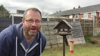 Keeping pigeons off your bird table
