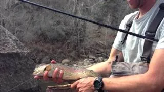 Tenkara Diaries - April 26th, 2013