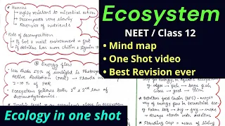 Ecosystem for Class 12 and NEET | Mind map | Best revision video | Short notes | summary notes #neet