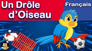 L'oiseau |contes de fées |Histoire pour s’endormir |Le brave petit oiseau| Contes d'oiseau | petards