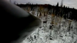 MOOSE HUNTING ! охота на лося с вышки