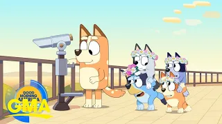 1st look at 'Bluey' special episode