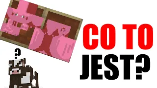 JEŻELI WIESZ CO TO JEST W MINECRAFT TO JESTEŚ DZIWNY