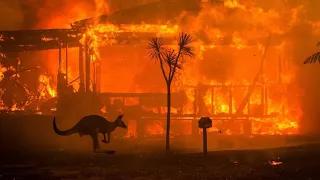 The Story of The Black Summer Bushfires Australia 2019-20