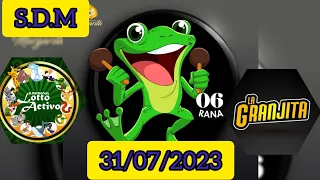 Datos animalitos lotto activo y la granjita hoy 31-07-2023 #lottoactivo #lagranjita #ruleta #merlin