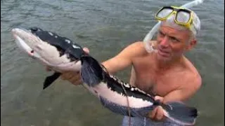 River Monsters Killer Snakehead Full Episode Hindi 2023 River Monsters हिंदी