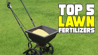 Best Lawn Fertilizer Reviews 2024 | Best Budget Lawn Fertilizers (Buying Guide)