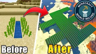 I Built the World’s Largest Sugarcane Farm in Minecraft!