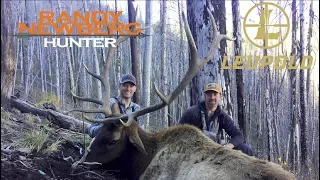 2016 New Mexico Elk with Randy Newberg and Tim Lesser - TV Version