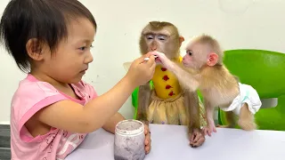 Monkey Mit was jealous when her saw Diem feeding Monkey Kaka