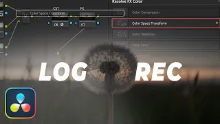 КАК КРАСИТЬ log В DAVINCI RESOLVE