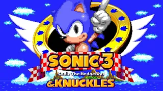 Sonic 3 & Knuckles - Walkthrough (Sonic) [1080p60][EPX+]