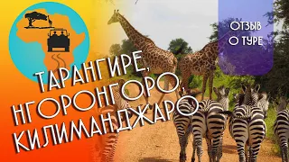 Видео-отзыв Сафари в Танзании 🌴 Парки Тарангире, Нгоронгоро, Килиманджаро