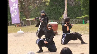 2024.05.26 徳川家康と服部半蔵忍者隊　午後演武