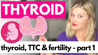 THYROID & FERTILITY: Part 1 - Understanding TSH and Your Thyroid Hormones