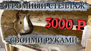 Огромный вольер-стеллаж за 3000 р. своими руками для морской свинки!