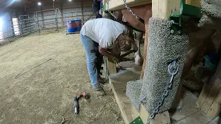 Farrier Day! Experience our first time having the farrier out to the farm for hoof trims Ep.36