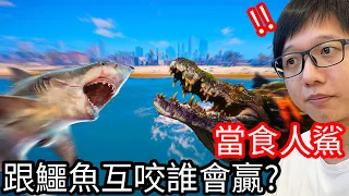 【Kim阿金】當食人鯊與大鱷魚互咬誰會贏!?《食人鯊 Maneater》