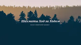 Шахматы. Дебют ферзевых пешек. Каменная стена Крамника.