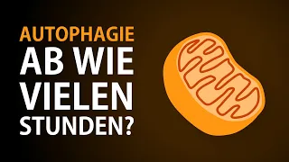 Wie lange fasten, um die Autophagie zu aktivieren? Ab wie vielen Stunden beginnt die Autophagie?