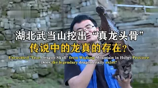 湖北武當山挖出“真龍頭骨”，專家懷疑人生，難道龍真的存在嗎？ #紀中百事 #古董 #開棺 #古墓 #考古發現