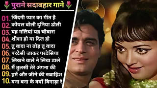 60's_70's_80's सुपरहिट्स गाने ❤️💞 Old is Gold । सदाबहार पुराने गाने Old Bollywood  Songs । किशोर_लता