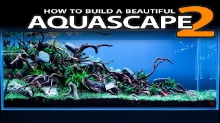 HOW TO BUILD A BEAUTIFUL AQUASCAPE EASILY - PLANTING