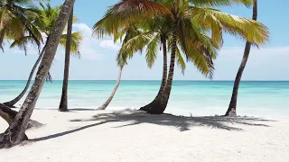 Остров Саона. Доминикана.The beautiful island of Saona of the Dominican republic.