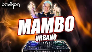 Mambo Urbano Mix 2022 | #3 | Best Mambo Urbano & Mambo Remix 2022 | Merengue Mambo 2022 by bavikon