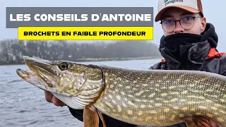 PECHE DU BROCHET EN ZONE PEU PROFONDE : une sélection de 4 leurres par Antoine