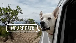 Moving into our Spanish farmhouse in Andalucía