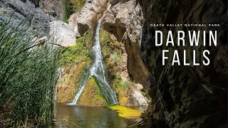 Darwin Falls: Hiking to Death Valley National Park's Waterfall