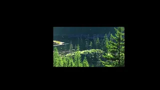 Sasquatch (Bigfoot) in BC or Fisherman?