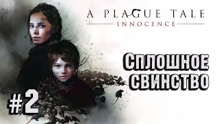 Сплошное свинство. A Plague Tale Innocence #2